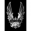 In Flames - Poster - Wings
