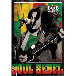 Bob Marley - Poster 3D - Soul Rebel