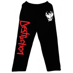 Destruction - Calça - Skull