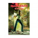 Iron Maiden - Poster - Early Days
