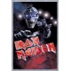 Iron Maiden - Poster - Visions of the beast