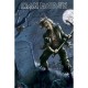 Iron Maiden - Poster - Benjamin Breeg Tour