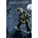Iron Maiden - Poster - Benjamin Breeg Tour